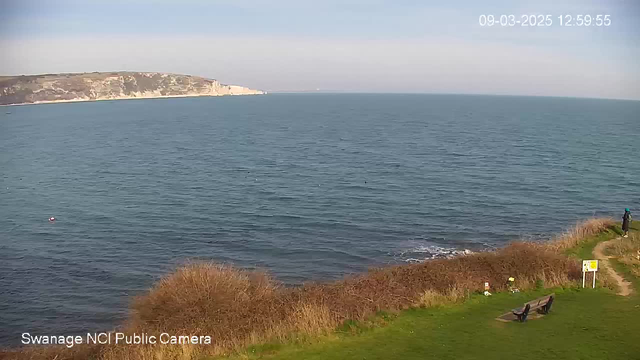 A view of the sea under a clear sky, with a gentle blue tint to the water. In the foreground, there's a grassy area with a few bushes and a wooden bench. To the right, a person wearing a blue jacket stands near the water's edge. In the distance, a cliffside with some greenery is visible along the coastline. The image is timestamped at 12:59:55 on March 9, 2025.