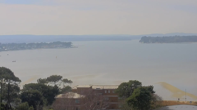 A scenic view of a calm body of water under a hazy sky. In the foreground, there are trees with dark green foliage, some of which appear to be pine. Below the trees, a building with a flat roof and several windows is visible. In the background, the water stretches towards distant hills. The horizon is lined with a faint outline of land, and there are small boats dotting the water's surface. A gentle golden hue is visible in the water, suggesting shallow areas near the shore.