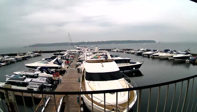 A view of a marina with numerous boats moored in the water. The scene is overcast, with gray skies and a calm surface on the water. A wooden dock extends into the marina, lined with various boats, some of which are large motor yachts. On the horizon, a faint outline of land can be seen. The overall atmosphere is peaceful and quiet, typical of a marina setting.