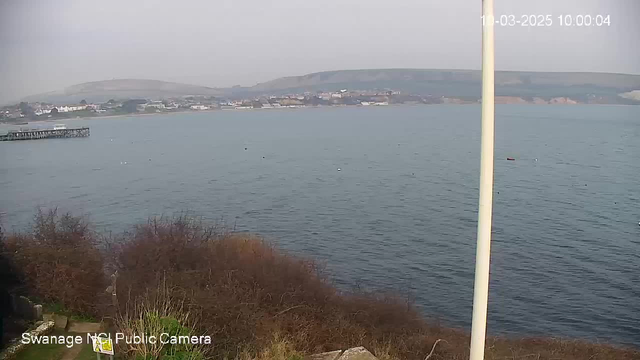 A view from a webcam shows a calm body of water with a light blue hue. In the foreground, there are some brown and green shrubs and grasses. Off to the left, a wooden pier extends into the water. In the distance, a town with several buildings is visible along the shoreline. The sky appears overcast, with a muted light illuminating the scene. The image includes a timestamp indicating the date and time.