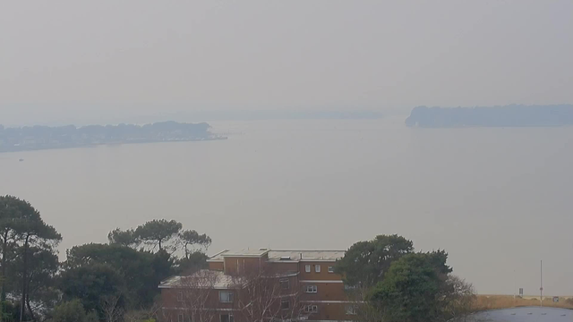 A hazy view of a calm body of water with distant trees along the shoreline. In the foreground, there's a brown building surrounded by various trees, including some conifers. The sky appears cloudy, causing a muted color palette, and the water is a pale gray, blending with the hazy horizon.