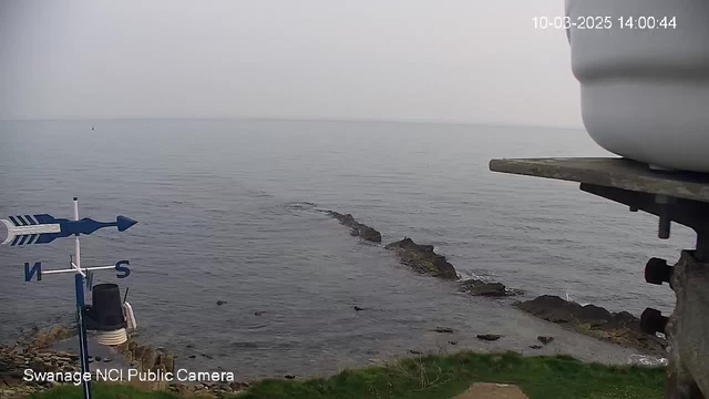 A coastal scene showing calm water extending to the horizon under a cloudy sky. In the foreground, there is green grass with a rocky shoreline leading into the water. A weather vane with blue and white arrows indicating directions is visible on the left, with the letters "N" and "S" displayed. A small white object, possibly a container, is positioned at the top right of the frame. The overall atmosphere is serene and slightly overcast.