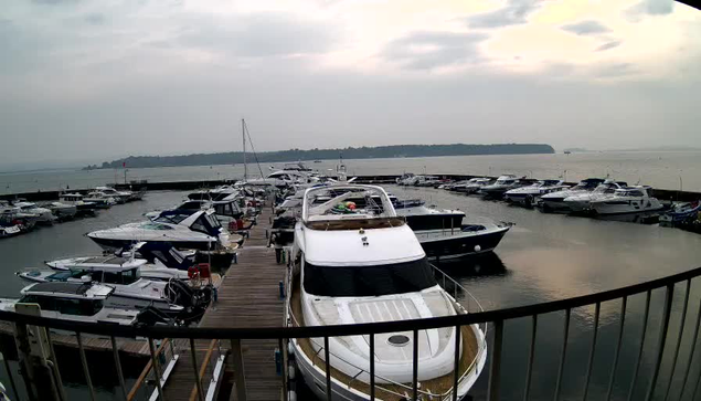 A view of a marina filled with several boats docked in a harbor. In the foreground, a large white yacht with a tan deck is prominent, and multiple smaller boats surround it, some with blue and white patterns. The background features a calm water surface and cloudy skies, with land visible in the distance. A wooden walkway extends across the image, providing access to the boats.