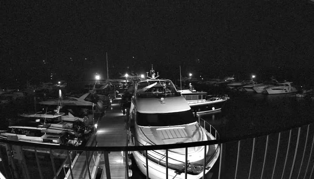 A nighttime view of a marina, featuring several boats and yachts docked in the water. The image is predominantly in black and white, with soft illumination from overhead lights reflecting off the boats and water. A wooden walkway connects the boats, with a railing visible in the foreground. The overall atmosphere is calm and serene, highlighting the outlines of the vessels against the dark water.