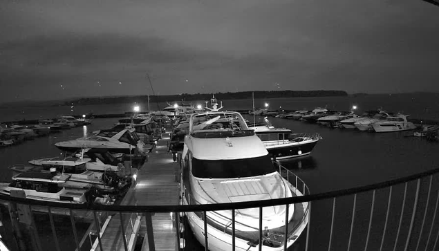 A black and white image of a marina at night, featuring multiple boats docked in the water. The scene is illuminated by various lights on the boats and along the dock, with a dark sky overhead. Some boats have visible structures like cabins and masts, and there is a wooden walkway leading between the boats. In the background, there is a faint outline of land or trees against the horizon.