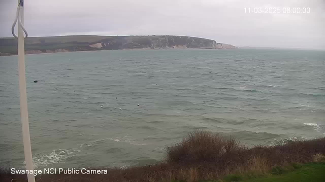 A coastal scene showing a gray, overcast sky and a choppy sea. The water is a mix of blue and green, with small waves creating white caps. In the distance, a rocky cliff with some greenery is visible along the shoreline. A few small boats can be seen on the water, and the foreground features some low, brown grass and shrubs.