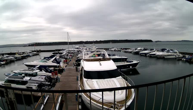 A view of a marina filled with numerous boats of various sizes docked at wooden piers. The scene is set on a cloudy day, with a calm body of water reflecting the overcast sky. In the foreground, a large white yacht is visible, alongside smaller boats, all moored closely together. The background features a green, forested shoreline that stretches along the water's edge.