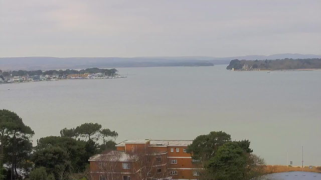 A wide view of a calm body of water with boats scattered across it. In the foreground, there are green trees and a low-rise brown building with windows. To the left, a coastline is visible with a row of buildings and a few colorful structures. The distant land features hills and more trees; clouds are present in the overcast sky, giving a muted light to the scene.