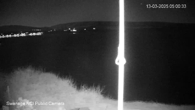 A nighttime scene depicting a dark landscape near a body of water. In the distance, small lights are visible from buildings or boats along the shoreline. There is a vertical white line on the right side, possibly a flagpole or similar structure. The date and time indicate it is early morning. The foreground contains patches of grass or vegetation, but details are faint due to low light conditions.