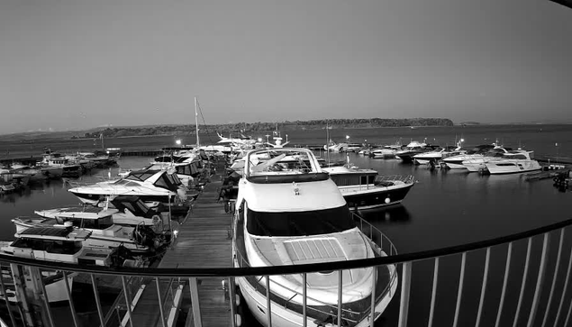 A black and white image of a marina featuring numerous boats docked in the water. In the foreground, several boats are tied to a wooden dock, displaying different shapes and sizes. The background shows a calm body of water with distant land on the horizon. A railing is visible in the lower part of the image, framing the scene. The overall atmosphere is serene and tranquil.