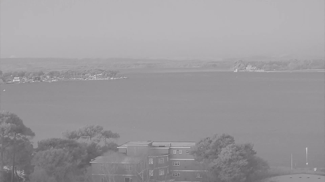 A grayscale image showing a calm body of water with distant trees and buildings along the shoreline. In the foreground, there are blurred lines of trees and a structure with multiple windows, while in the background, boats are docked along the water's edge. The horizon is hazy, suggesting distance. The overall scene conveys a peaceful, natural setting.