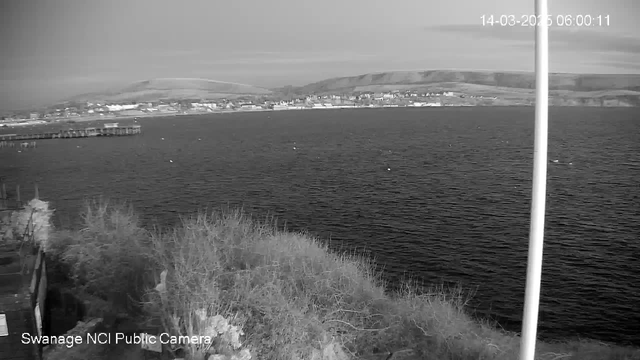 A black and white image captures a coastal view. In the foreground, there are patches of grass and a rocky ledge. To the left, a pier extends into the water, which appears calm. The background features a small seaside town with buildings lined along the shore, and gently rolling hills rise behind it. The sky is overcast. A white pole on the right side of the image partially obstructs the view. A timestamp indicates the image was taken on March 14, 2025, at 6:00 AM.