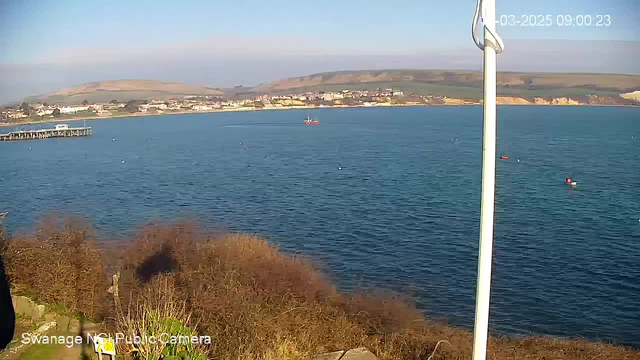 A coastal view featuring calm blue water under a clear sky. In the foreground, there is some dense brown vegetation and a white pole. Further in the distance, a small red boat is visible on the water, while the shoreline is lined with buildings. The scene is peaceful with no apparent disturbances.