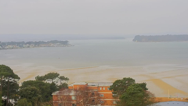 A misty view of a coastal area featuring a calm body of water, with sandy shores partially exposed. In the foreground, there are trees and a brick building with several windows. In the background, small boats can be seen on the water, and beyond that, a distant shoreline lined with trees and structures, fading into the haze. The overall scene has a subdued color palette due to the foggy conditions.