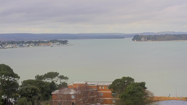 A view of a calm body of water with low, overcast skies. On the left, there are several buildings including some with colorful facades, along with a marina that has boats docked. In the distance, a wooded area lines the horizon, while the right side of the image showcases a small island with a structure on it. The foreground features some greenery and a few trees. The water appears tranquil, with gentle waves reflecting the muted colors of the sky.