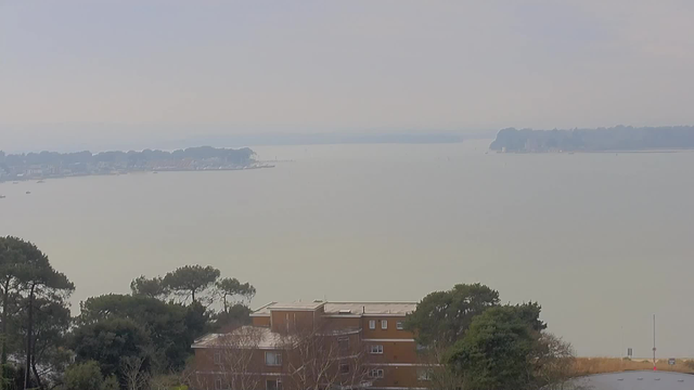 A foggy scene showing a calm body of water with boats scattered across the surface. In the background, trees and buildings line the shoreline, partially obscured by mist. The foreground features a few trees and a residential building, surrounded by greenery, while a road and a sign are visible on the right side. The overall atmosphere appears serene and tranquil.