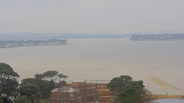 A cloudy sky looms over a calm body of water. In the foreground, several trees with dark green foliage are visible. Below, a brown building with large windows sits against a backdrop of sandy shore and water. In the distance, a small marina is visible, featuring several boats and a line of trees along the shoreline. The water appears still and reflects a muted color palette of soft browns and greys.