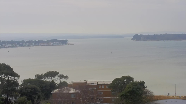 A wide view of a calm body of water under a cloudy sky. In the foreground, there are trees and a low-rise building with several windows. In the background, the shoreline features a marina with boats, and more land with trees and structures can be seen along the horizon. The water has a soft grayish tint, reflecting the overcast conditions.
