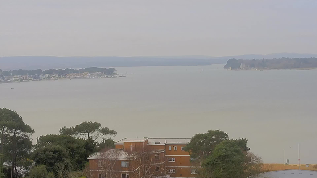 A serene view of a calm body of water stretches out to the horizon under a cloudy sky. In the foreground, there are trees and a brick building with multiple windows. To the left, a marina with moored boats can be seen, along with hints of colorful buildings along the shoreline. The distant shore features trees and hills, creating a soft landscape. The overall color palette is muted, with shades of gray and green dominating the scene.