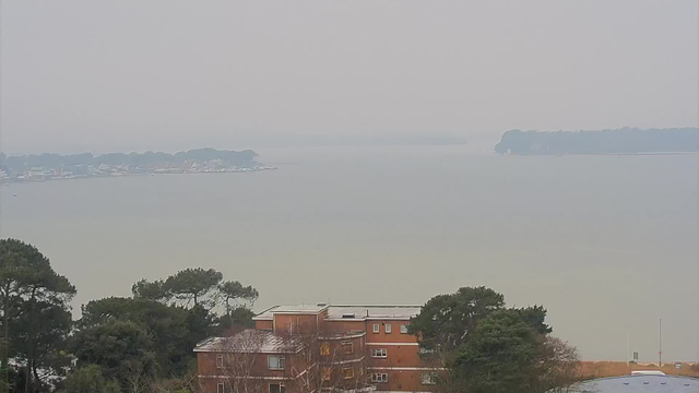A hazy view of a body of water is seen in the foreground, with several boats partially visible along the shore. In the background, a distant line of trees or land outlines the horizon. Nearby, there are some buildings with flat roofs and a mix of greenery, including patches of trees and shrubs, adding texture to the landscape. The overall atmosphere appears calm and muted due to the foggy conditions.