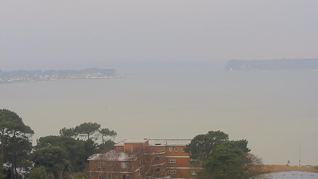 A hazy view of a body of water with a shoreline visible in the distance. On the left, there are several boats moored at a dock. The foreground shows a mix of green trees and a brown building with several windows. The sky appears overcast, creating a muted atmosphere, with colors blending softly into one another.