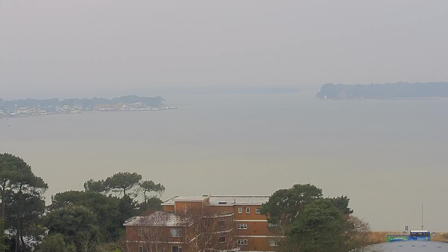 A foggy view of a body of water with a shoreline in the distance. The water appears calm and is bordered by trees. In the foreground, there are several buildings, including one with orange bricks and multiple windows. The scene is muted due to the overcast sky, creating a grayish tone.