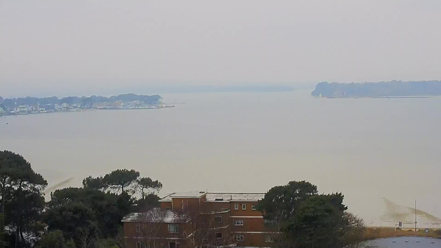 A view of a calm water body extending towards the horizon under a grey sky. On the left, there is a shoreline with a cluster of buildings, some of which are white and others are light-colored. To the right, a wooded area rises gently near the water's edge. The overall atmosphere is muted due to the overcast weather. In the foreground, a few trees with dark green foliage are visible, blending into the landscape.