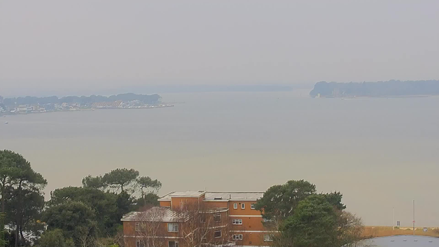 A view of a hazy coastline featuring water with a soft gradient from light brown to gray. In the foreground, there are trees and a building with a flat roof, likely part of a residential or commercial structure. The background shows a distant shoreline with buildings and a marina, partially obscured by mist. The sky is overcast, contributing to the overall muted colors of the scene.