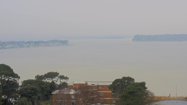 A foggy view of a large body of water stretches out into the distance. In the foreground, several trees are visible, with a low, brown building partially obscured by greenery. On the horizon, a hazy shoreline can be seen with boats and structures, but details are unclear due to the fog. The overall color palette is muted, with grey and beige tones dominating the scene.