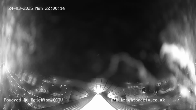 A black and white webcam image showing a view of a city street at night. The scene is illuminated by lights from buildings and vehicles, with a shining white surface in the foreground that appears to lead into a structure. The date and time in the top corner indicates it is 22:00:14 on March 24, 2025. Water droplets or lens distortions may be present, obscuring some details. The image features a logo and website link at the bottom left and right corners.