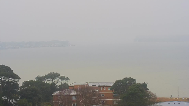 A foggy seascape is visible, with a muted grey sky blending into a hazy water surface. In the foreground, there are trees and a brown building with several windows. The background features a faint outline of a shoreline and distant structures that are barely discernible due to the fog. The overall scene has a calm but obscured atmosphere.