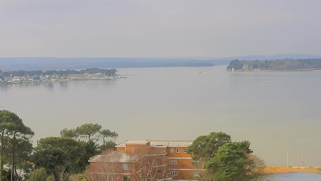 A view of a calm body of water extending into the distance, with a faint horizon. On the left side, there's a marina with several boats docked, and some buildings along the shore. In the foreground, there are trees and a multi-story orange building. To the right, an island can be seen, featuring greenery and structures, and there are small boats navigating the water. The sky above is overcast, creating a muted atmosphere.