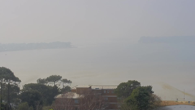 A hazy view of a calm water body is depicted, with gentle waves and a distant shoreline barely visible. In the foreground, there are green trees and a building with a flat roof, characterized by a reddish-brown exterior. The sky appears overcast, contributing to the misty atmosphere.