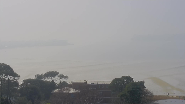 A foggy view of a calm body of water with a light-colored shoreline. In the foreground, there are dark trees and a building with a flat roof, partially visible. The water reflects the misty sky, creating a serene but indistinct scene.