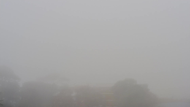 A dense fog covers the landscape, making it difficult to see. Dark silhouettes of trees can be faintly seen in the foreground, while a blurred shape of a building is visible in the middle ground. The overall scene appears gray and obscured, with no clear outlines or details emerging from the mist.