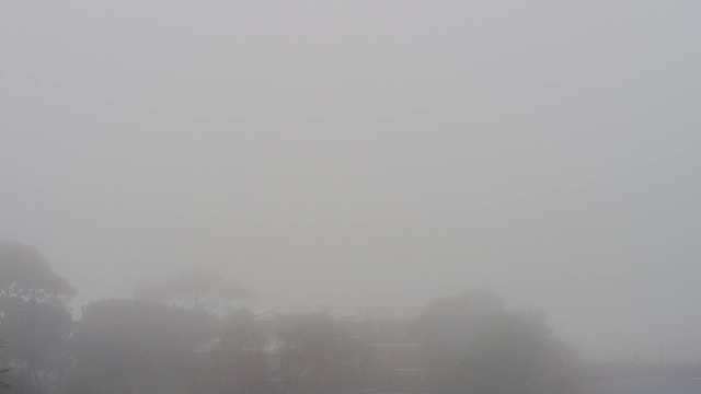 A foggy scene obscuring visibility, with indistinct outlines of trees and a low building appearing shrouded in white mist. The overall atmosphere is gray and muted, creating a sense of depth loss.