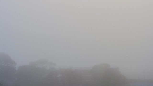 The image shows a dense fog that significantly obscures visibility. In the foreground, blurred silhouettes of trees and a building can be faintly seen, blending into the grayish-white mist. The overall atmosphere is dreary and muted, with no clear outlines or details visible beyond a close distance.