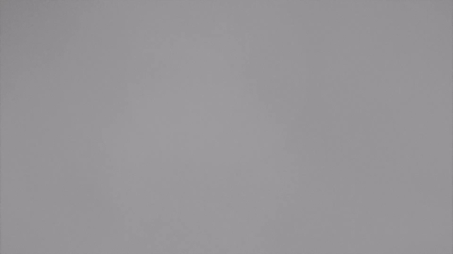 A predominantly gray background with a smooth texture, lacking distinct shapes or details. The lighting is even, creating a soft and uniform appearance.