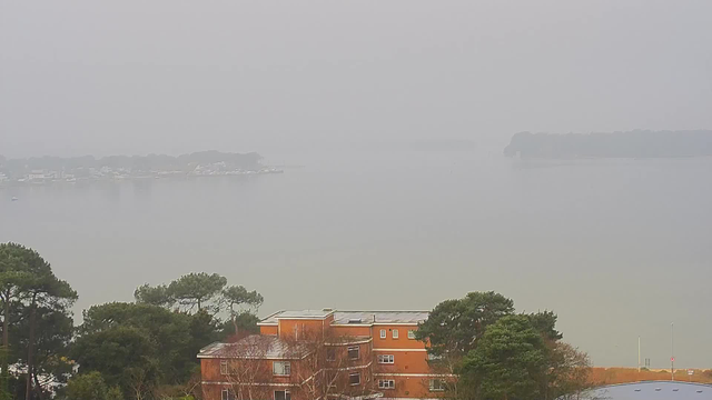 A foggy view of a body of water, with blurred outlines of buildings and trees in the foreground. The water appears calm, reflecting the gray sky. A small marina with boats is faintly visible across the water, surrounded by a line of trees that blend into the mist. The overall scene is muted and lacks distinct colors due to the fog.