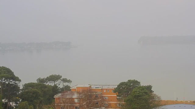 A foggy view over a calm body of water, with limited visibility. In the foreground, there's a building with a reddish-brown exterior and a flat roof, surrounded by greenery. The background features silhouettes of trees and boats, but they are blurred due to the fog. The overall scene has a muted color palette, primarily gray and green.