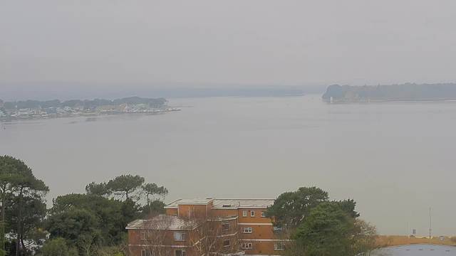 A gray, overcast sky looms above a calm bay. In the foreground, several low, brown buildings are partially obscured by trees with dark green foliage. In the distance, a marina with boats is visible along the water's edge, surrounded by additional trees and land. The water is still, reflecting the muted colors of the sky and surroundings.