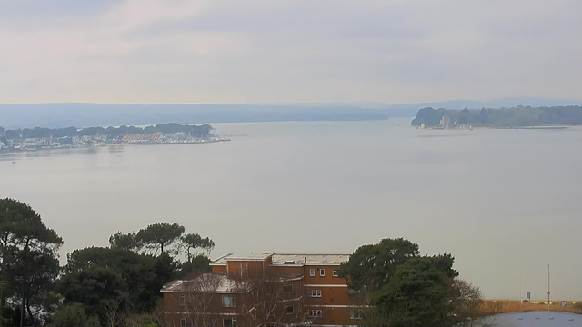 A view of a calm body of water under a cloudy sky. In the distance, there is a shoreline lined with buildings and boats. In the foreground, there are trees and a brown building with multiple windows, blending into the natural scenery. The landscape appears peaceful and quiet.