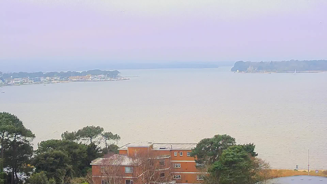 A view of a calm water body, with a mixture of gray and beige tones. In the foreground, there are several trees and a brown building with multiple windows. In the background, a small marina with boats can be seen along the shoreline, with a distant landmass fading into a cloudy sky. The overall atmosphere is somewhat muted and tranquil.