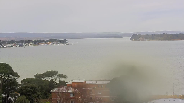 A foggy view of a body of water stretches across the image, with a mixture of gray skies above. In the foreground, there are trees and a few buildings, including one with reddish-brown walls and multiple windows. In the distance, the shoreline features a marina with boats and more structures. The atmosphere appears calm and tranquil, but visibility is somewhat limited due to the foggy conditions.