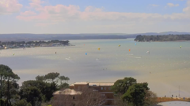 A coastal scene with a view of a body of water and distant hills under a partly cloudy sky. The foreground features trees, while several colorful kites can be seen flying above the water, with various individuals kitesurfing. On the left side, there is a marina with boats docked. The overall atmosphere suggests a calm, sunny day with light winds.