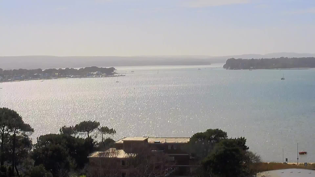 A tranquil view of a body of water surrounded by land. The water sparkles under sunlight, reflecting a bright, clear sky. In the foreground, there are trees and buildings, while in the distance, several boats can be seen on the water. A coastline with a hint of sandy beach and a few structures along the water adds to the serene scenery. The overall atmosphere is peaceful and calm.