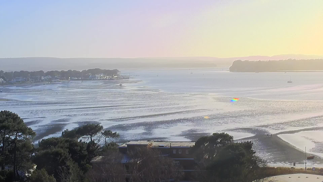 A serene landscape view of a bay during sunrise, featuring calm waters with gentle ripples. In the foreground, there are patches of wet sand and sparse greenery, likely small trees or bushes. The horizon showcases distant hills and a town with white buildings along the waterfront. Several boats are visible on the water, and the scene is bathed in soft pastel colors, transitioning from pale blue to warm yellow, indicating early morning light.