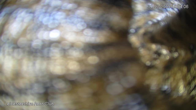 The image is out of focus and appears to show a blurred mixture of light and dark colors, creating a soft bokeh effect. The bottom of the image displays the text "Leicestershire Aero Club" with a timestamp of "31-03-2025 18:01:06."