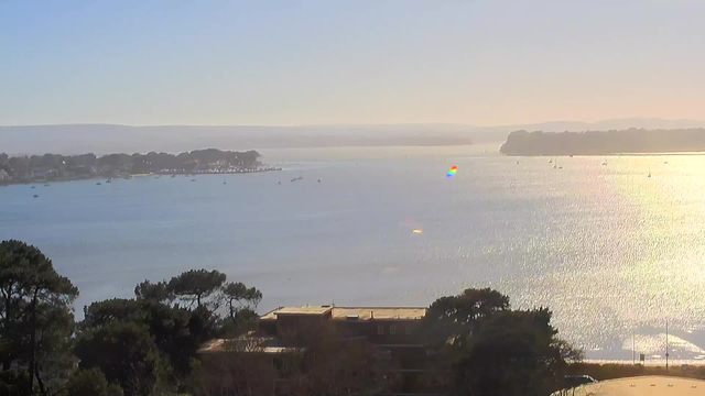 A view of a tranquil body of water under a bright sky. In the foreground, there are trees, with their dark green leaves contrasting against the bright sunlight. The water surface is shimmering with reflections, creating a sparkling effect. Numerous small boats can be seen scattered across the water. In the distance, a shoreline with low buildings and trees is visible, leading to a hazy horizon where the water meets rolling hills.