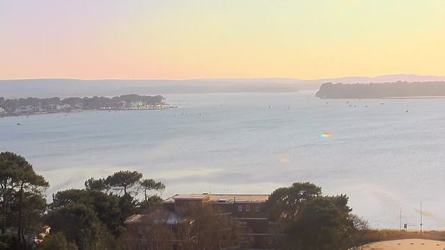 A tranquil waterfront scene during sunset, with soft pastel colors filling the sky. In the foreground, silhouettes of trees can be seen along the shoreline. The water is calm, dotted with small boats and yachts gently bobbing. In the distance, there are hints of land and shoreline, creating a serene atmosphere. The overall mood of the image conveys a sense of peace and natural beauty.